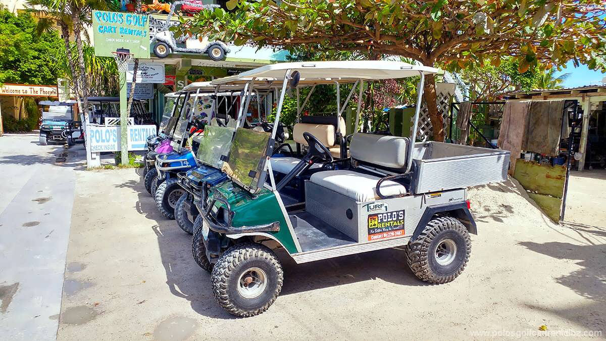 Polo's Golf Cart Rental photo 7