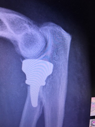 The Bone and Joint Centre photo 1
