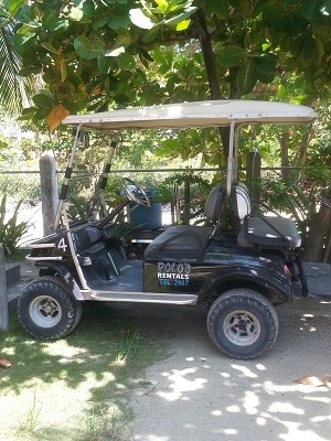 Polo's Golf Cart Rental photo 3