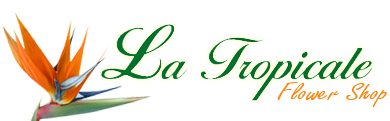 La Tropicale Flower Shop logo