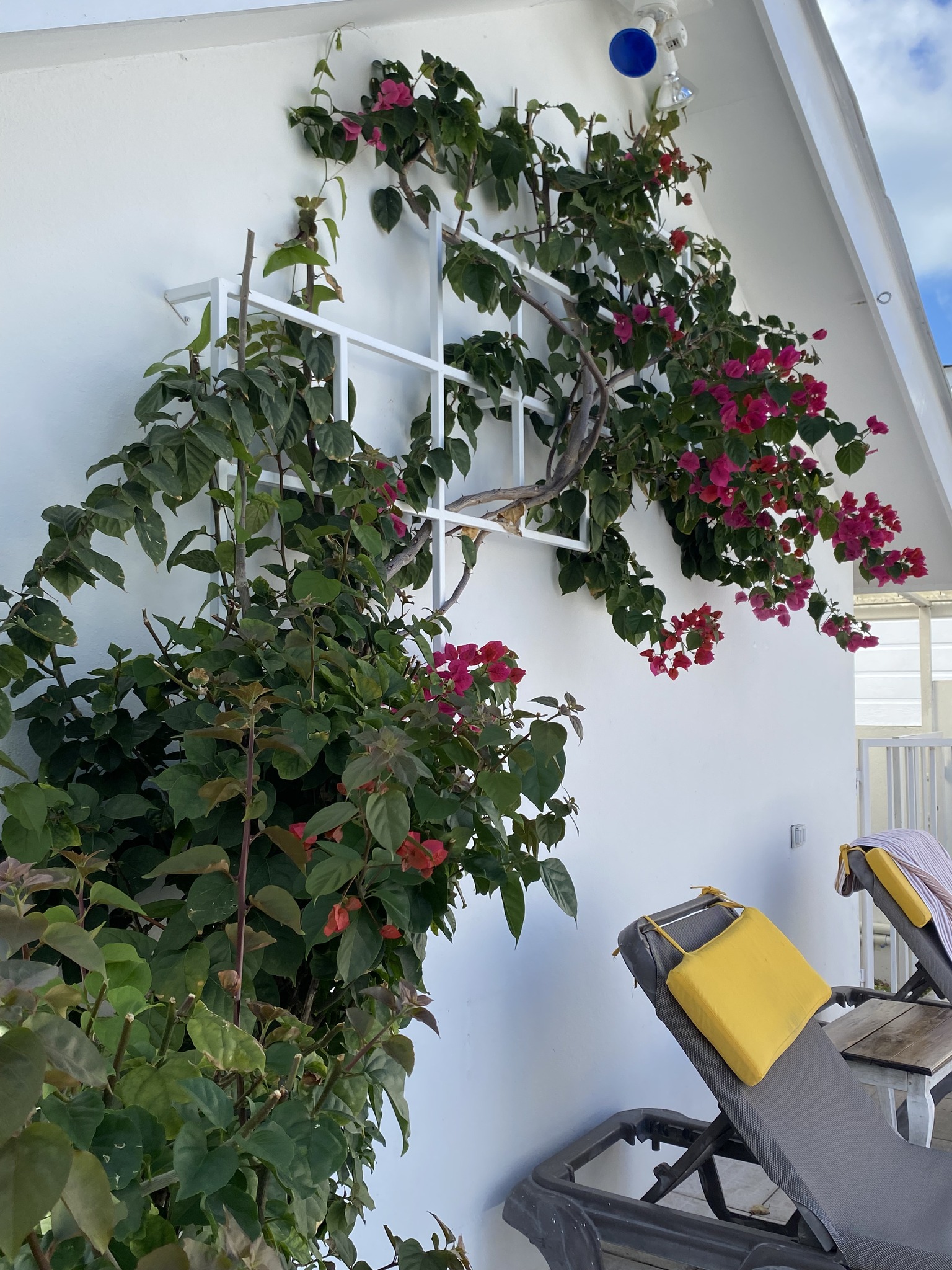 Villa Boscardi Bed & Breakfast photo 1