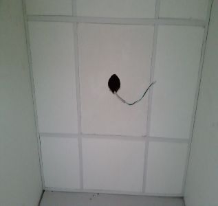 Knowles Construction Co Ltd photo 7
