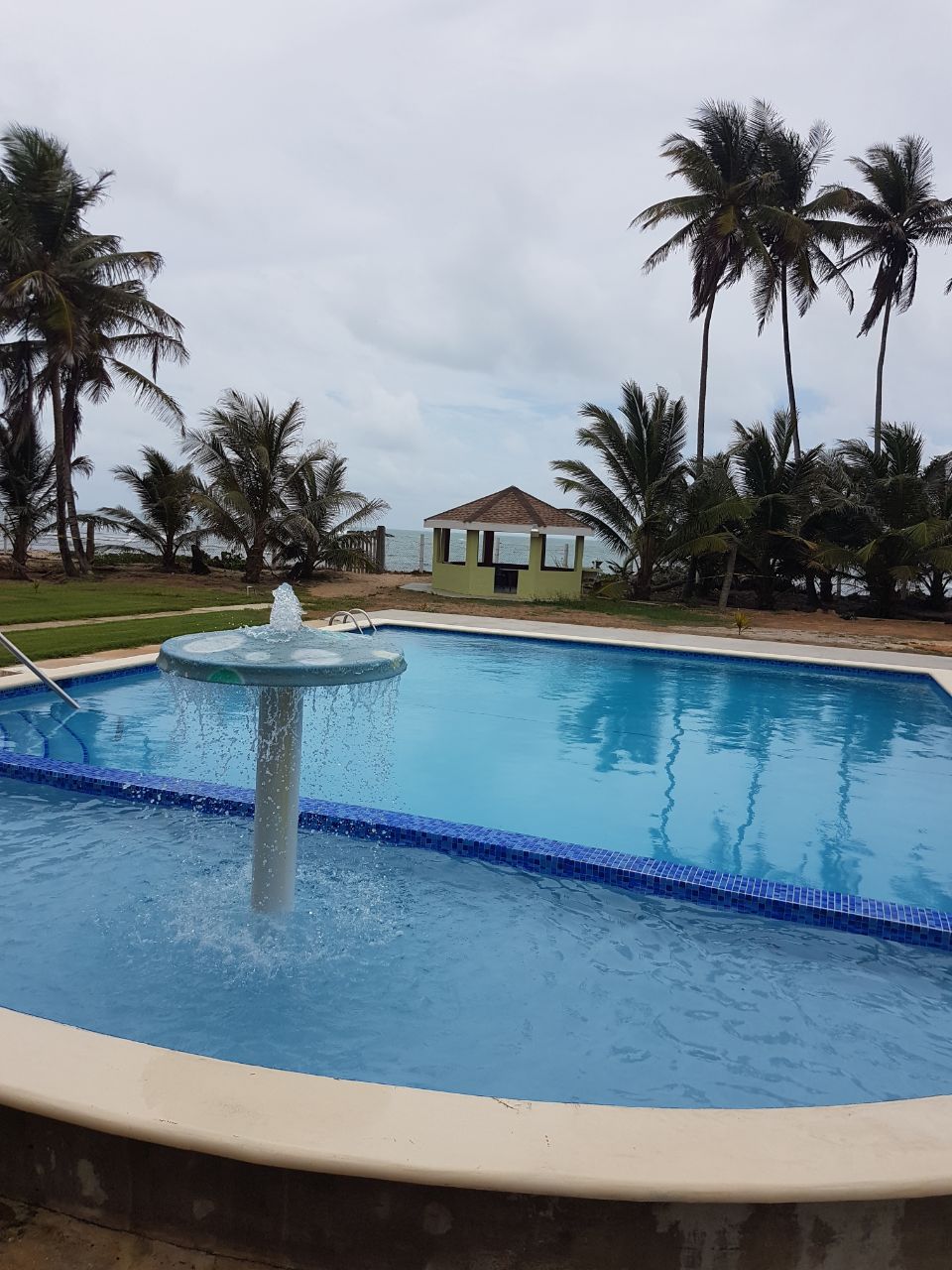 Paradise Pools & Spa Ltd photo 8