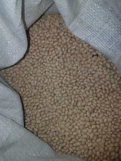 Quality Grains & More photo 2
