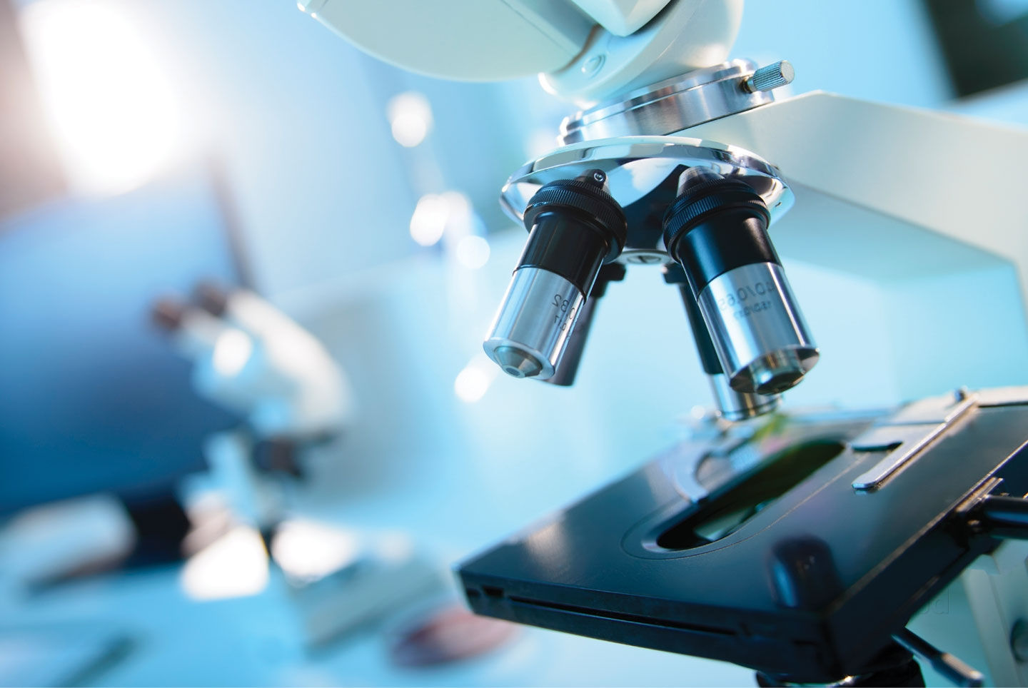 Path Care Medical Laboratory Ltd photo 8