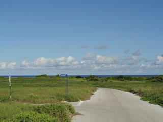 Homesites Barbados Ltd photo 3