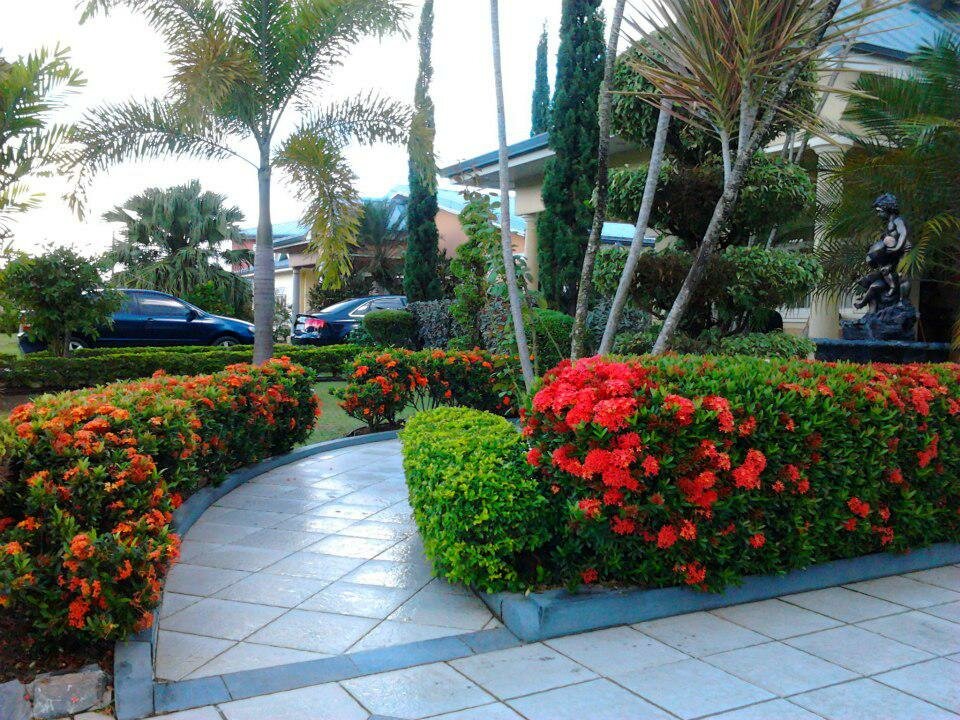 Dynaprofs Landscaping Services Ltd photo 8