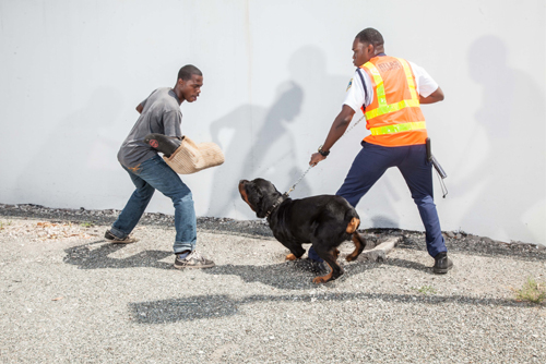 Atlas Protection Ltd photo 3