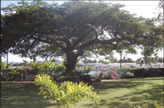 Thomas Roger FRCOphth photo 3