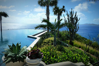 Minine's Plants & Landscaping photo 3