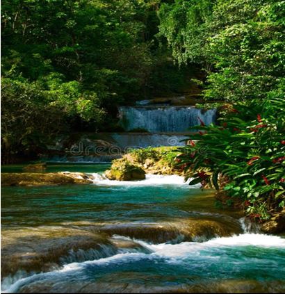 Jamaica Blue Mountain Spring Water Co Ltd photo 2