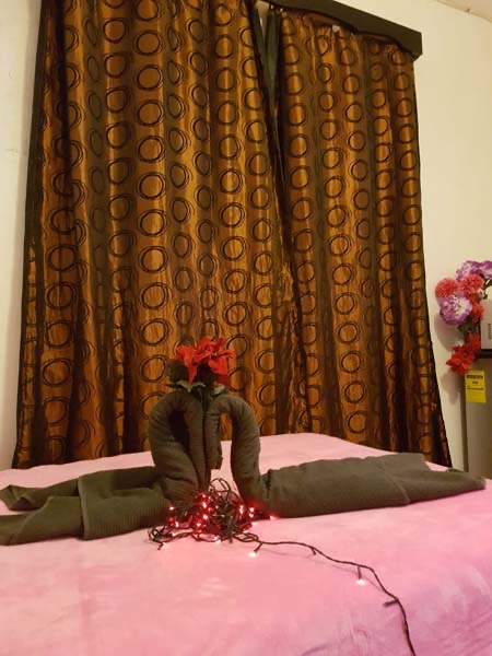 Bachelor Inn photo 4