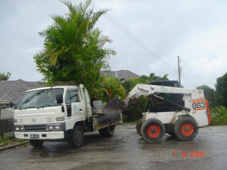 Rain Landscape And Property Development photo 4