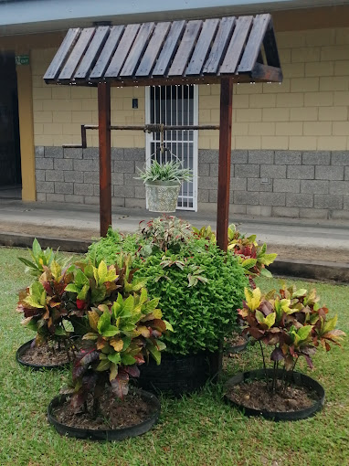 Cyilann Byron Landscaping And Maintenance photo 2