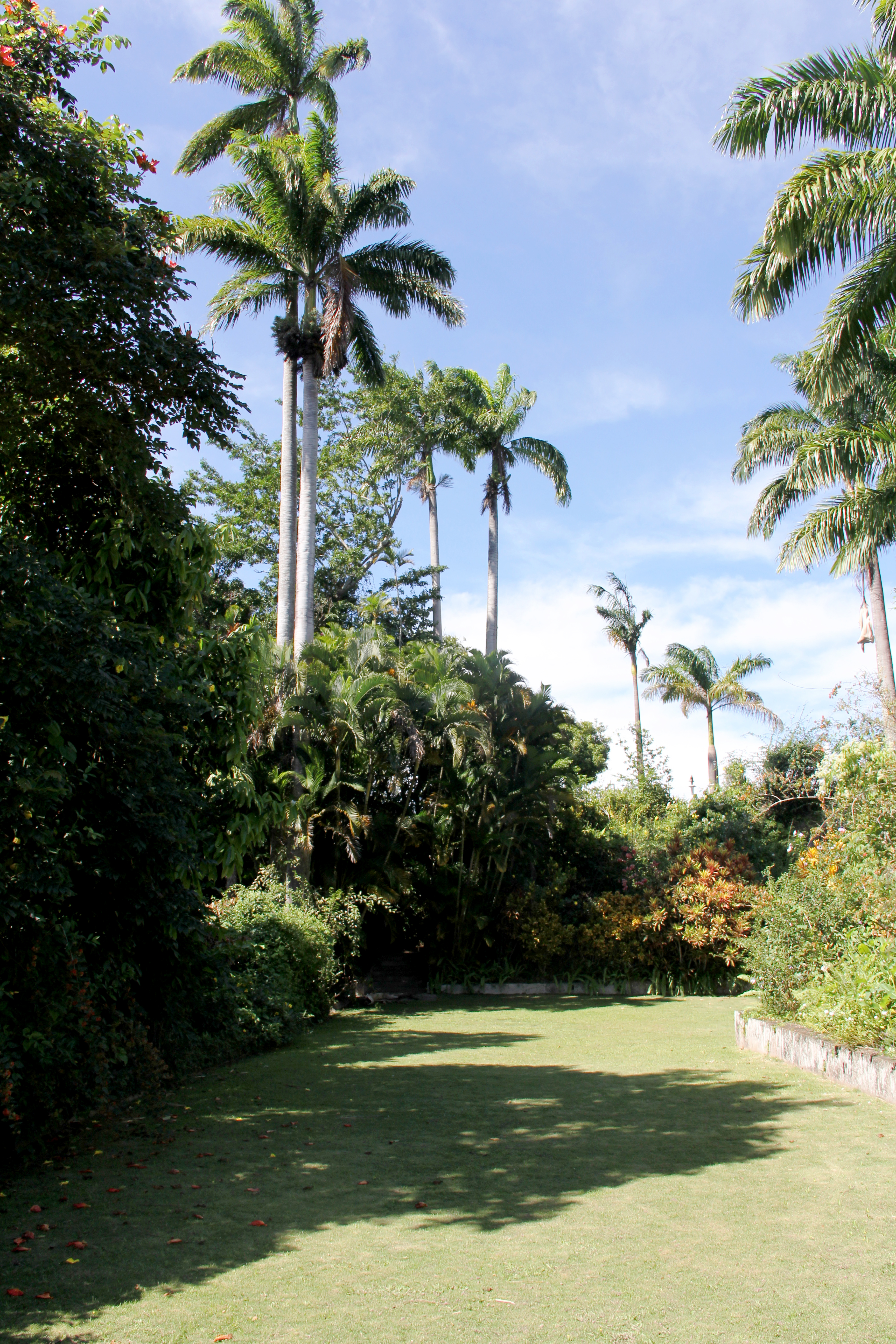 Craighton Estate Blue Mountain Coffee Tour photo 5