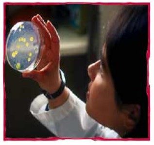 Adka Laboratories And Consultants Co Ltd photo 4