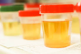 Path Care Medical Laboratory Ltd photo 2