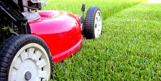 Quality Landscape Services Inc photo 1
