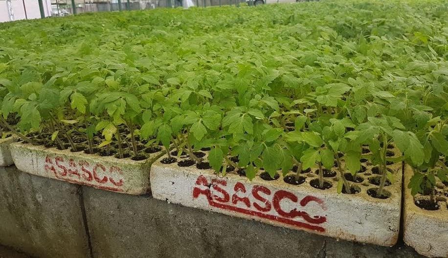 ASASCO Chemicals and Enterprises Ltd photo 3