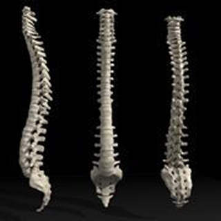 Contemporary Orthopaedics and Spinal Services photo 4