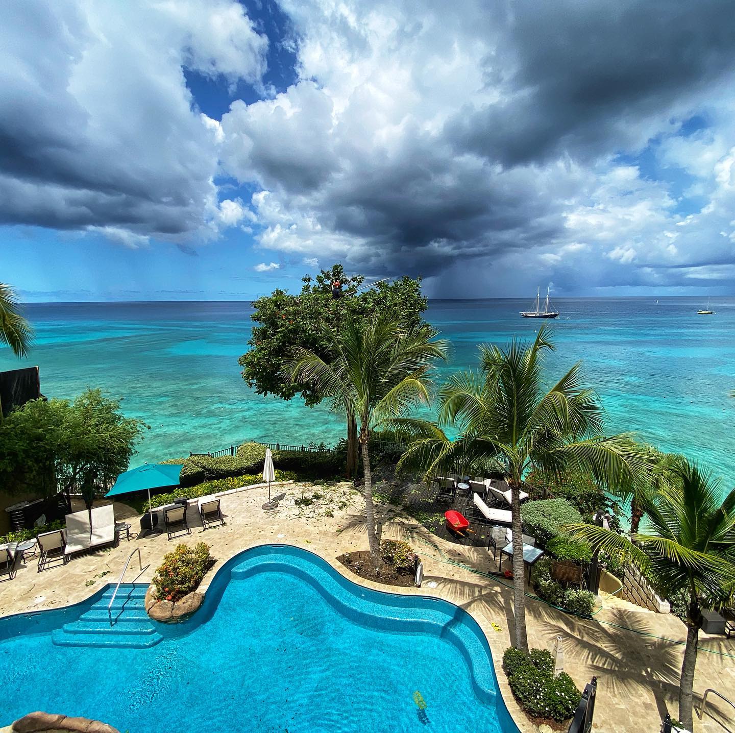 Tropical Tree Services photo 2