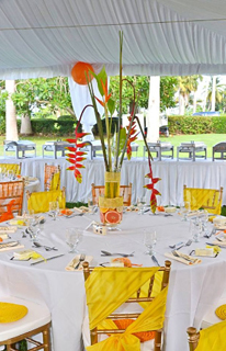Pangroove Elegant Events photo 4