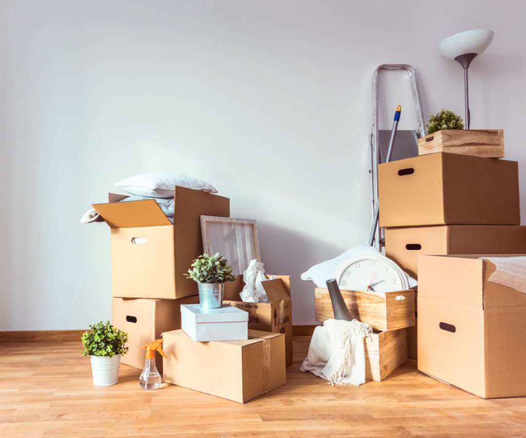 Moving Things photo 11