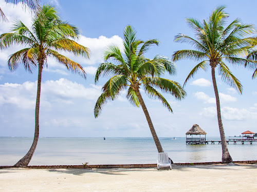 Brilliance Belize Ltd photo 4