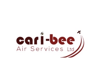 Cari-Bee Air Services Ltd logo