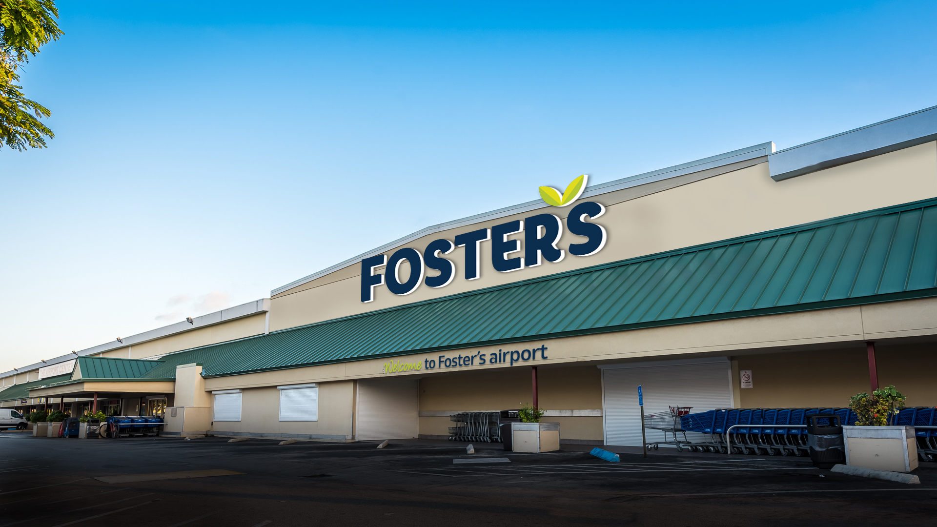 Foster's Airport photo 9