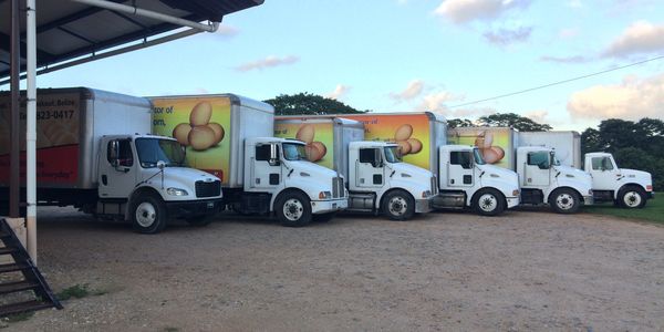 Country Foods photo 6