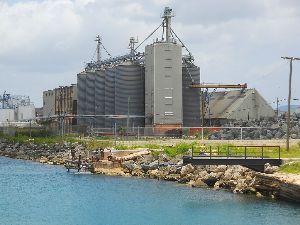 Barbados Mills Ltd photo 6
