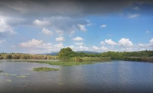 Black River Safari photo 6