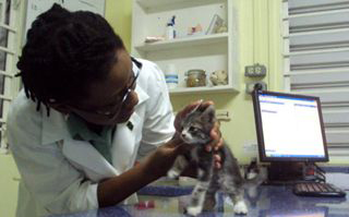 Noah's Ark Veterinary Centre photo 5