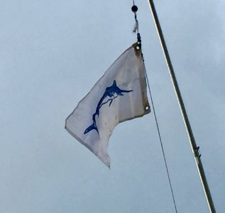 Davis Harbour Marina photo 1