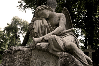 St George's Memorial Park photo 5