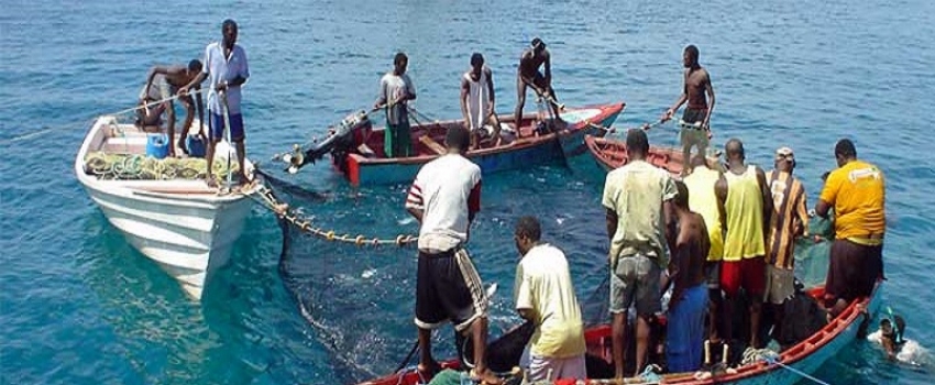 Jamaica Fishermen Co-Op Union Ltd photo 2