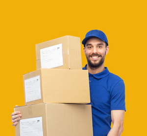 Direct 2 Door Courier photo 2