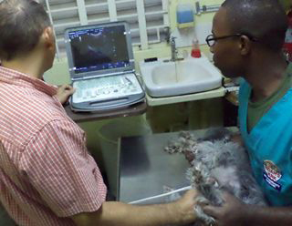 Noah's Ark Veterinary Centre photo 4