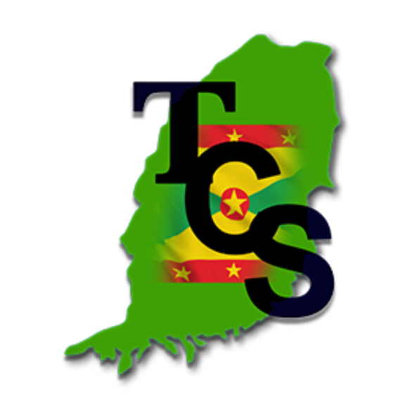 The Computer Store Grenada Ltd logo