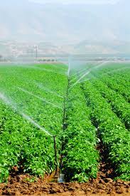 National Irrigation Commission Ltd photo 2