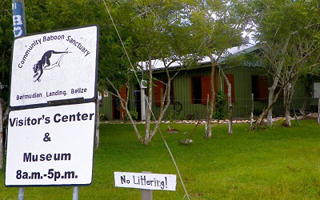 Community Baboon Sanctuary photo 1