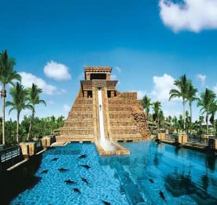 Harborside Resort At Atlantis photo 4