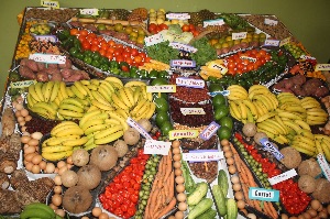 Ministry of Agriculture Fisheries & Mining photo 8