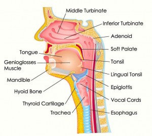 Ear, Nose & Throat Clinic photo 2