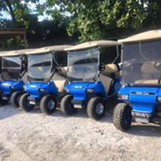 ATM Golf Cart Rental photo 5
