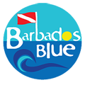 Barbados Blue Watersports logo