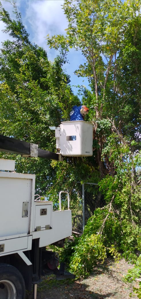 St Clair & Associates Inc (STACS) photo 7