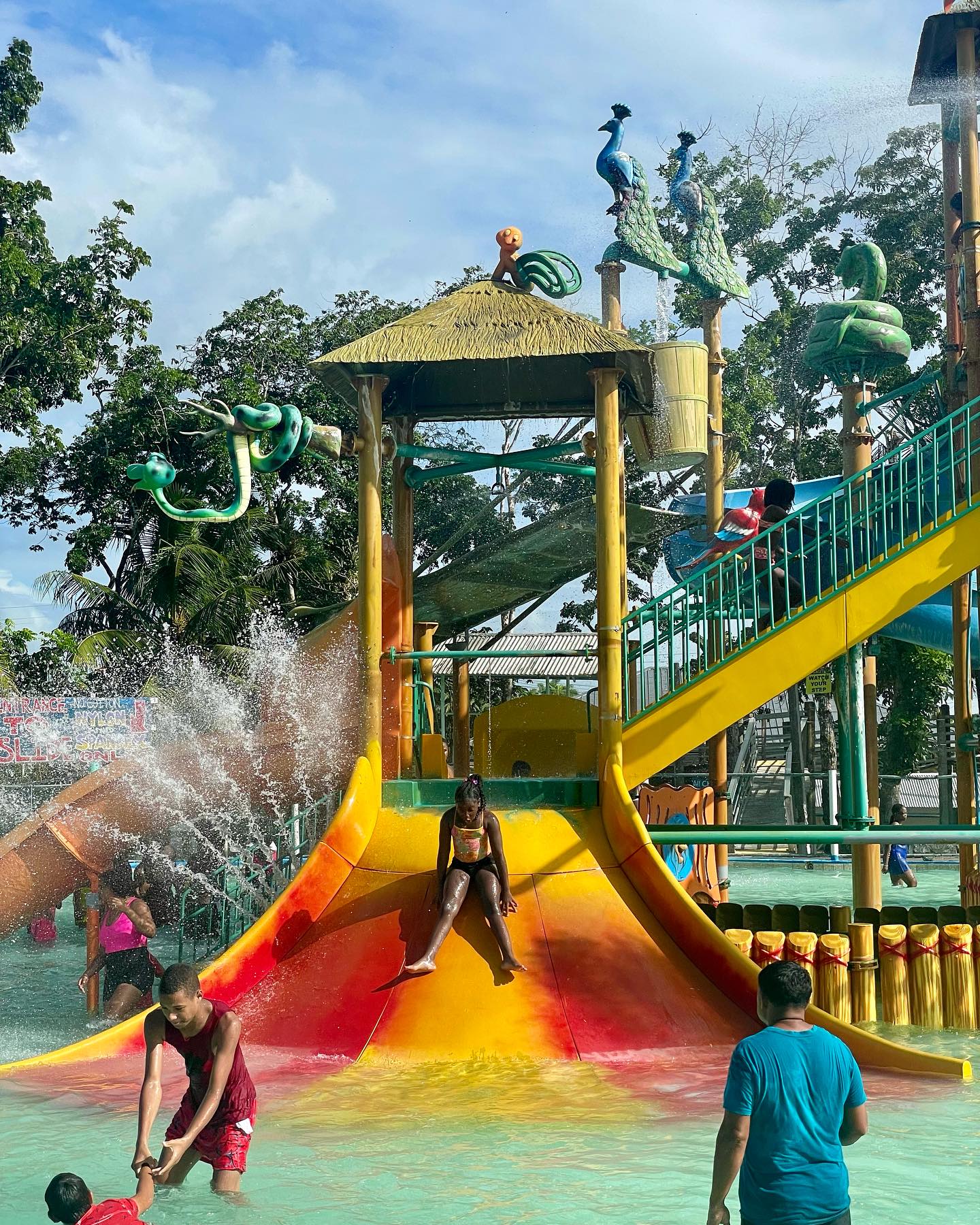 Harry's Water Park photo 7