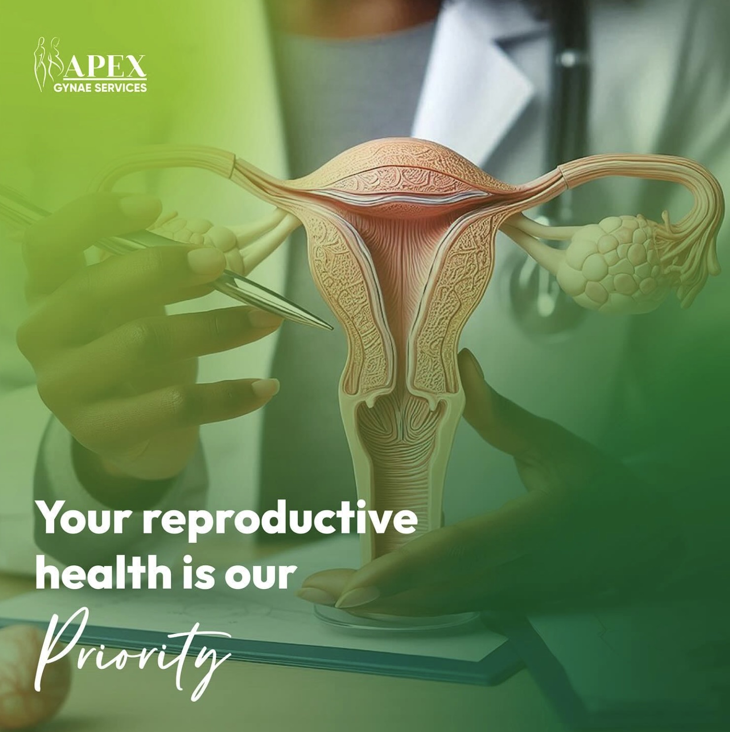 Apex Gynae Services photo 3
